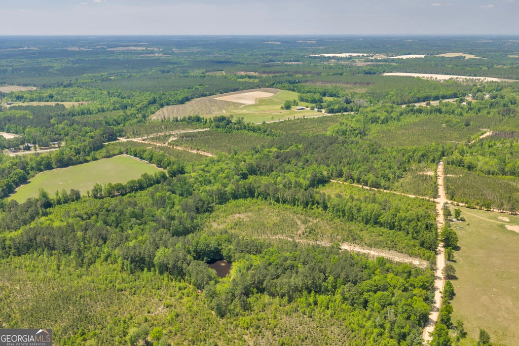 Photo of 30 Graham Lane, Cadwell, GA 31009 (MLS # 10777782)