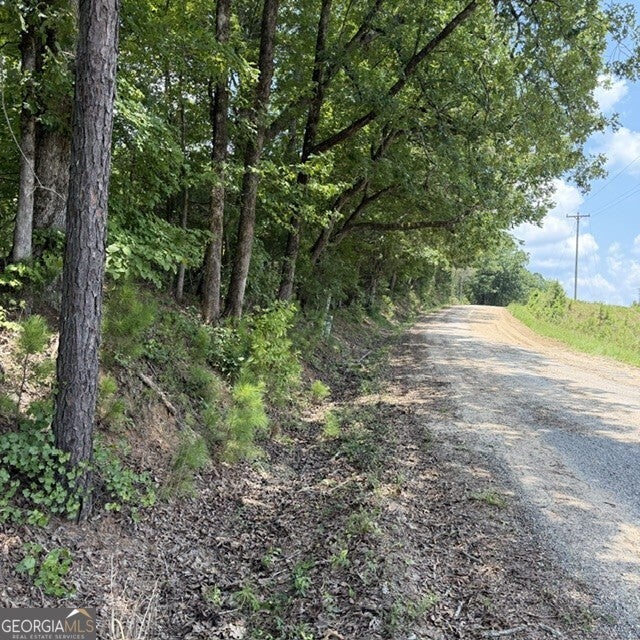 Photo of 8061 Howard Neal Road, Junction City, GA 31812 (MLS # 10807187)