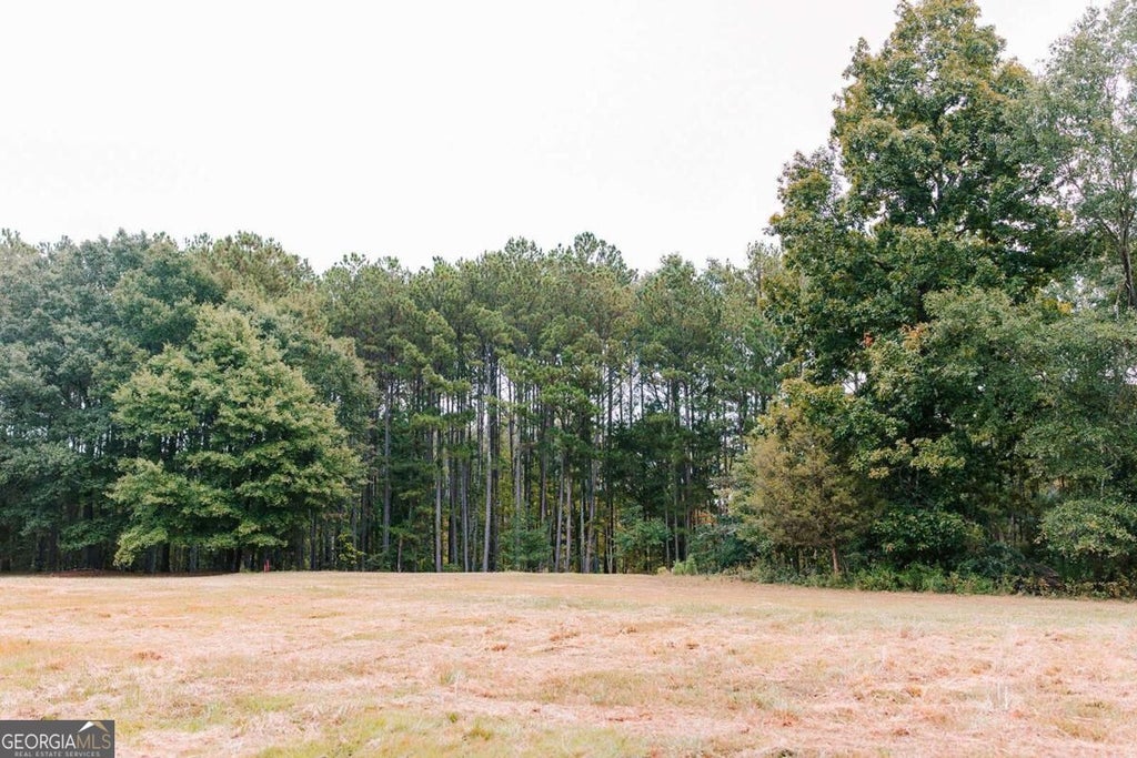 Photo of 1911 Hog Mountain Road, Watkinsville, GA 30677 (MLS # 10867332)