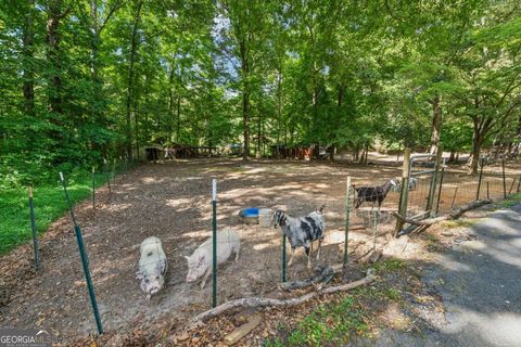 Single Family Residence in Villa Rica GA 368 Belmont Road 22.jpg