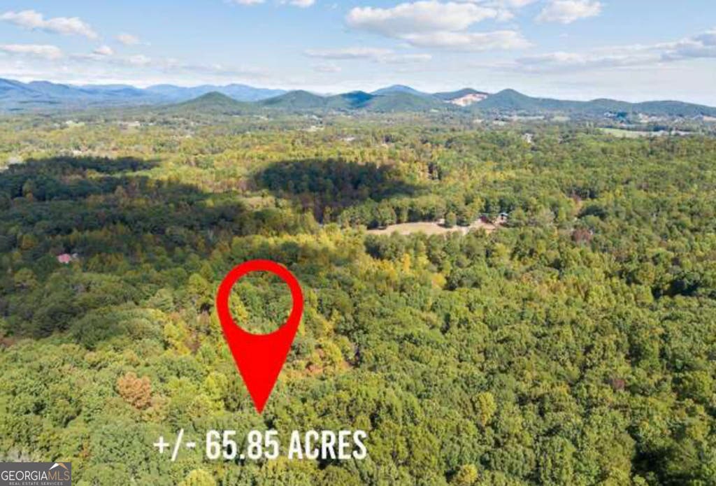 Photo of 24 Luther Palmer Road, Cleveland, GA 30528 (MLS # 10822381)