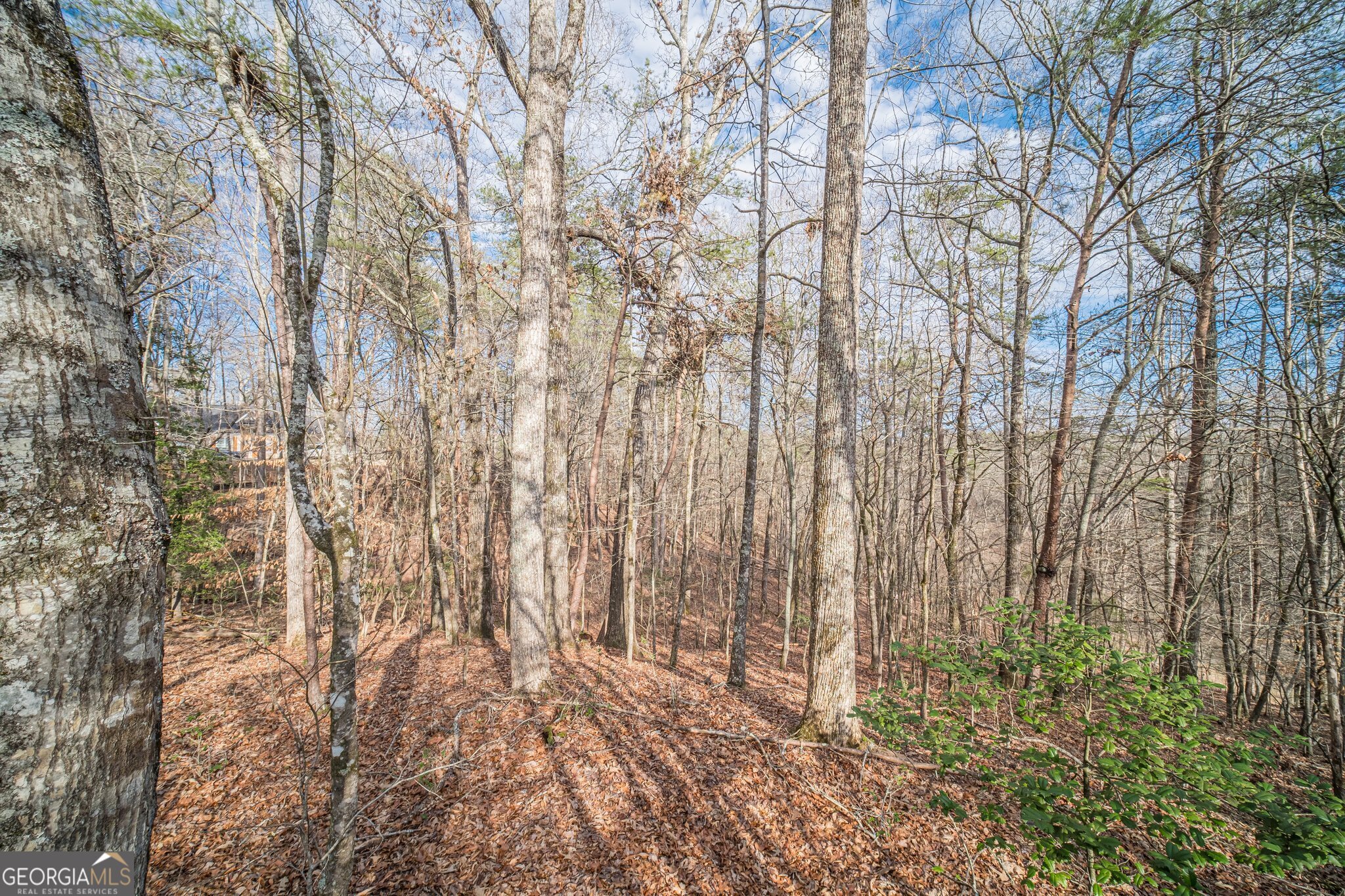 Gainesville, Georgia 30506, United States, ,Land,Pending,2496