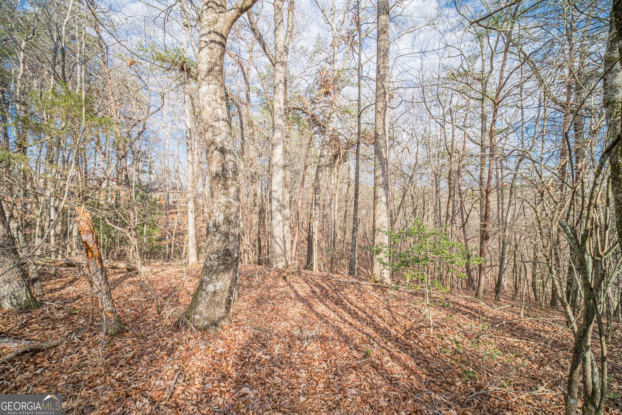 Gainesville, Georgia 30506, United States, ,Land,Pending,2496