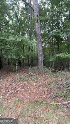 5850 DOUBLE BIRCH, DOUGLASVILLE, GA 30135 - Image 40b7c73b9d2158b2abbd95409e5a8fec/1203821815