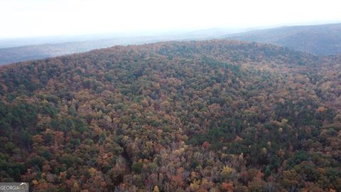 Unimproved Land in Molena GA 00 Flintridge Road.jpg