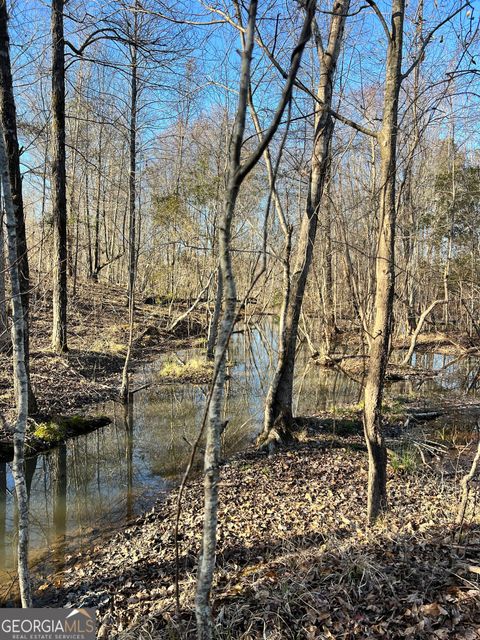 Photo of 0 Crawfordville Road, White Plains, GA 30678 (MLS # 10684772)