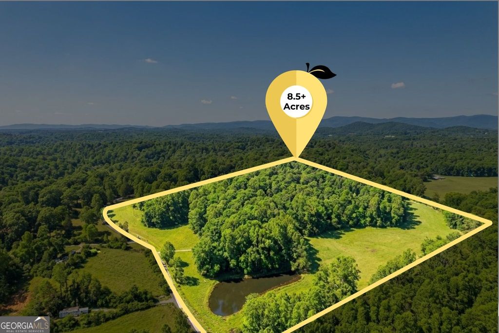 Photo of 362 Horton Road, Dahlonega, GA 30533 (MLS # 10731950)