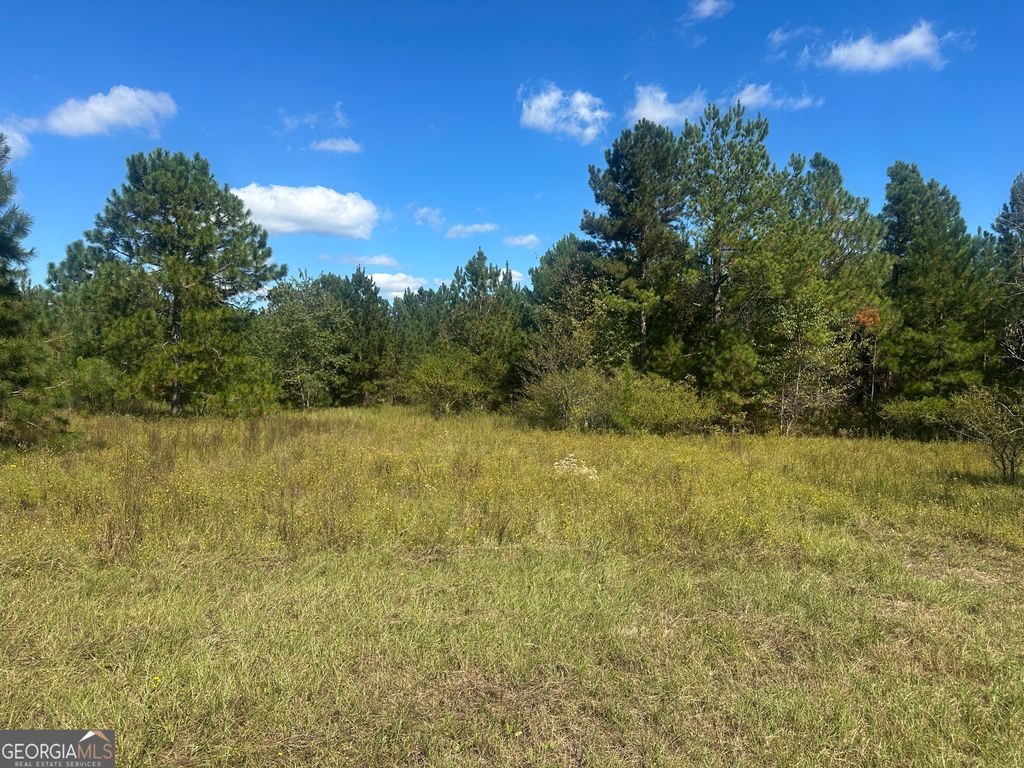 Photo of 0 Tram Road, Sylvania, GA 30467 (MLS # 10625718)