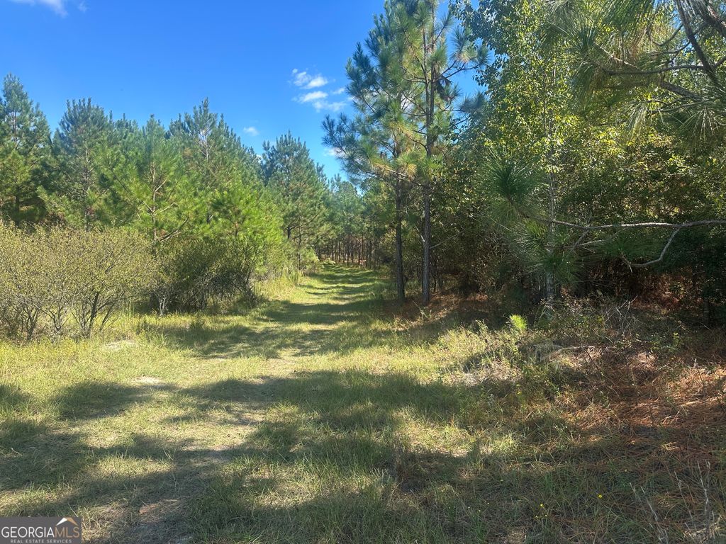 Photo of 0 Tram Road, Sylvania, GA 30467 (MLS # 10625718)