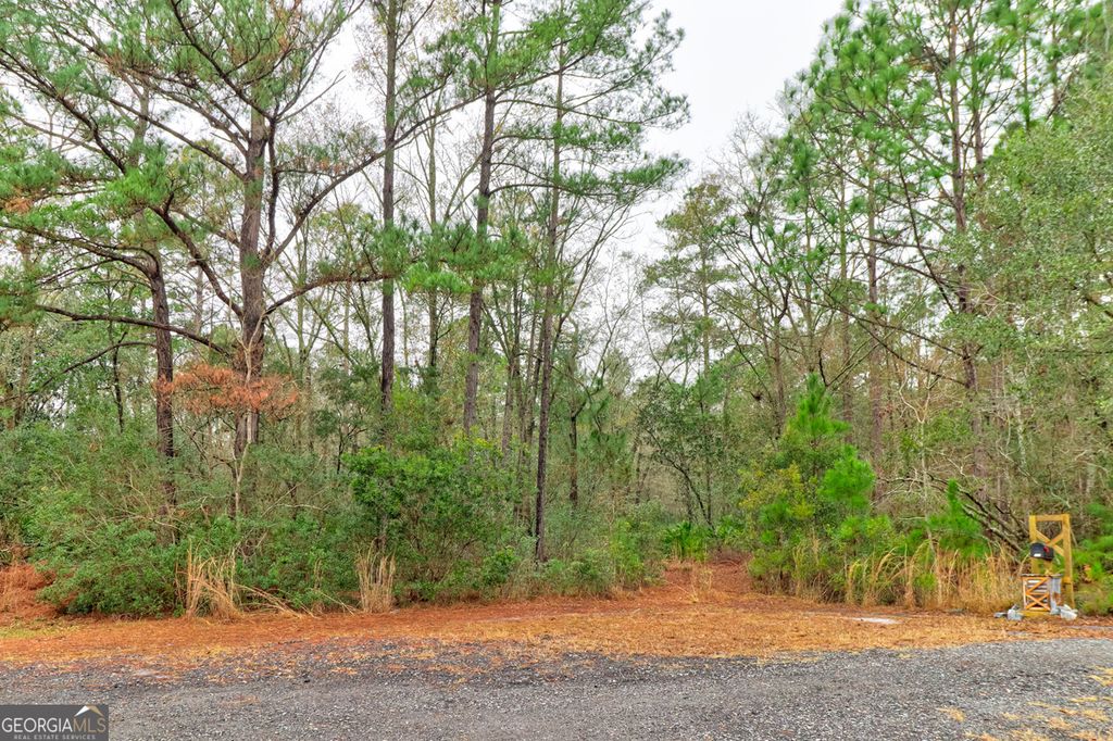 Photo of 109 Unique Drive, Guyton, GA 31312 (MLS # 10686942)