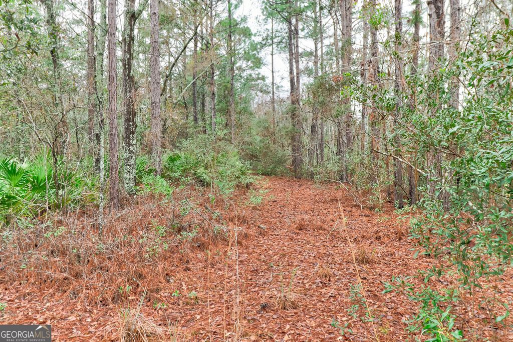 Photo of 109 Unique Drive, Guyton, GA 31312 (MLS # 10686942)