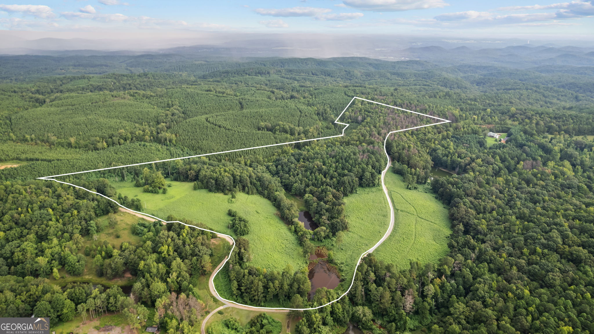 Picturesque 40 acres of land with a lake waiting for your dream home to be built. Underground power is in place, a 400' well has been drilled, 16 x 16 concrete pad poured for the well house to be placed, camper hook up established, and high speed spectrum internet is now available. Most recent survey was completed August 2019.
