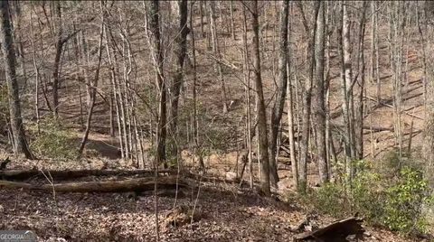 Photo of 0 Valley View Drive, Jasper, GA 30143 (MLS # 10706935)