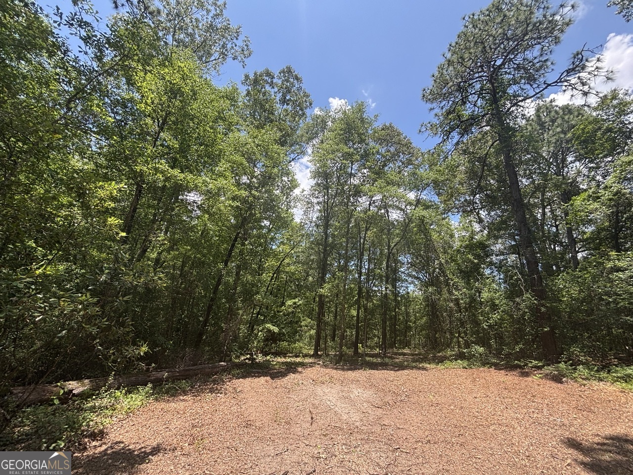 Great heavily wooded residential lot with acreage in Bibb county! This lot could be used for residential purposes or for a small hunting tract. This lots access is on the cul-de-sac of Salix Ln road. Restrictions are: -No mobile homes, Modular or stick built allowed with a minimum of 1200 sq ft, No commercial animal operation. This is 1 of 3 lots available for purchase. Lot 1: 37.5 acres Lot 2: 27 acres Lot 3: 17 acres