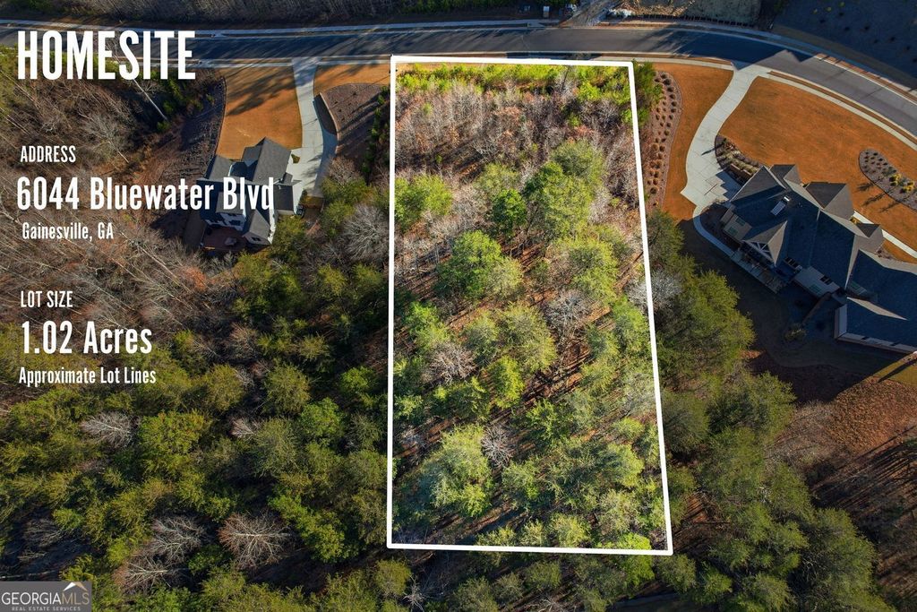 Photo of 6044 Bluewater Boulevard, Gainesville, GA 30506 (MLS # 10657907)