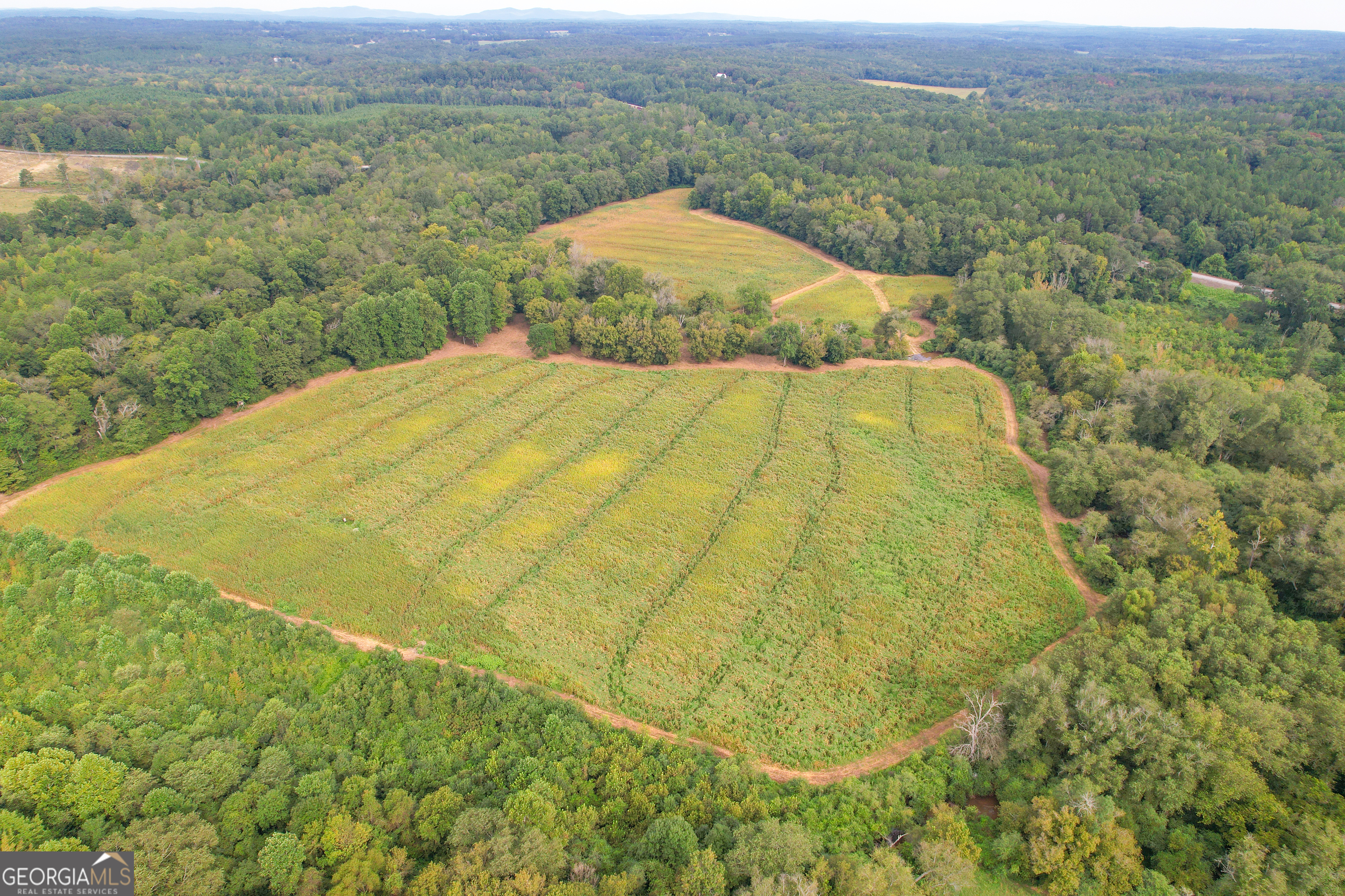 50 +/- Acres off GA HWY 78
