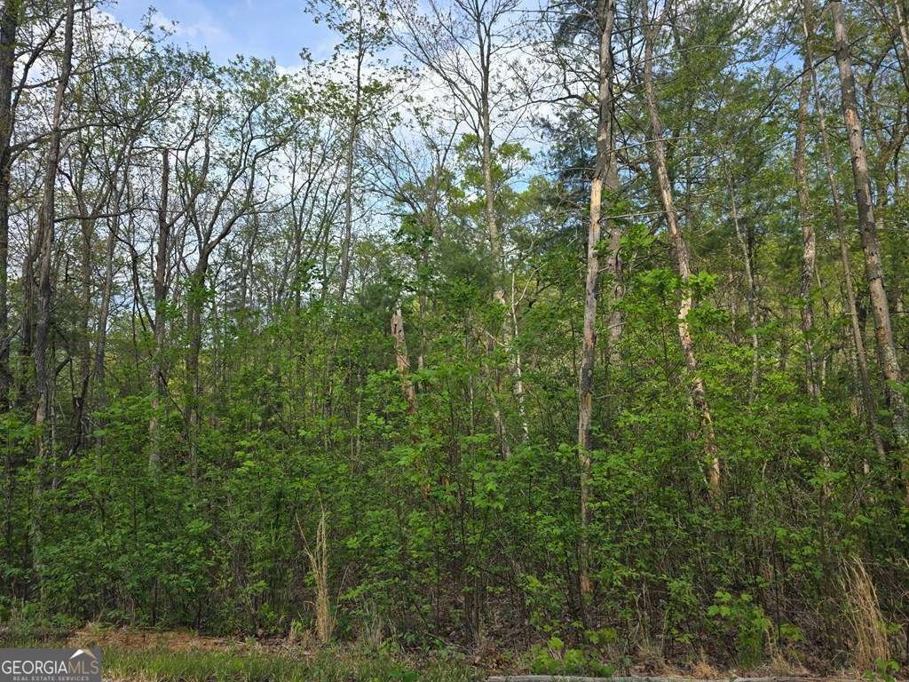 Photo of 10 Kennedys Court, Blairsville, GA 30512 (MLS # 10690998)