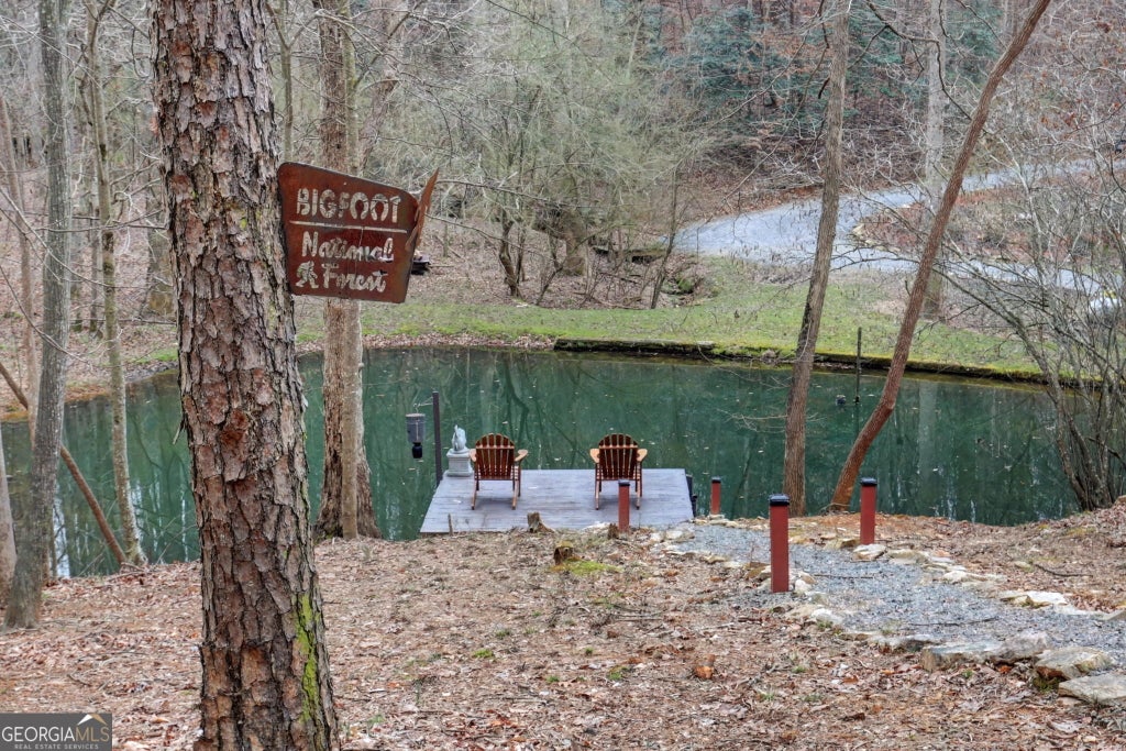Photo of 150 Summit Street, Ellijay, GA 30540 (MLS # 10822283)
