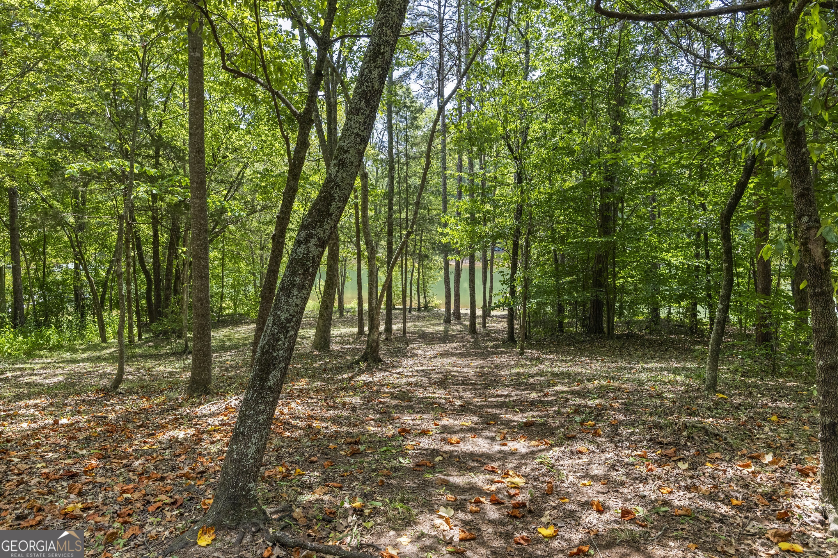 Martin, Georgia 30557, United States, 4 Bedrooms Bedrooms, ,4 BathroomsBathrooms,Residential,Pending,176317