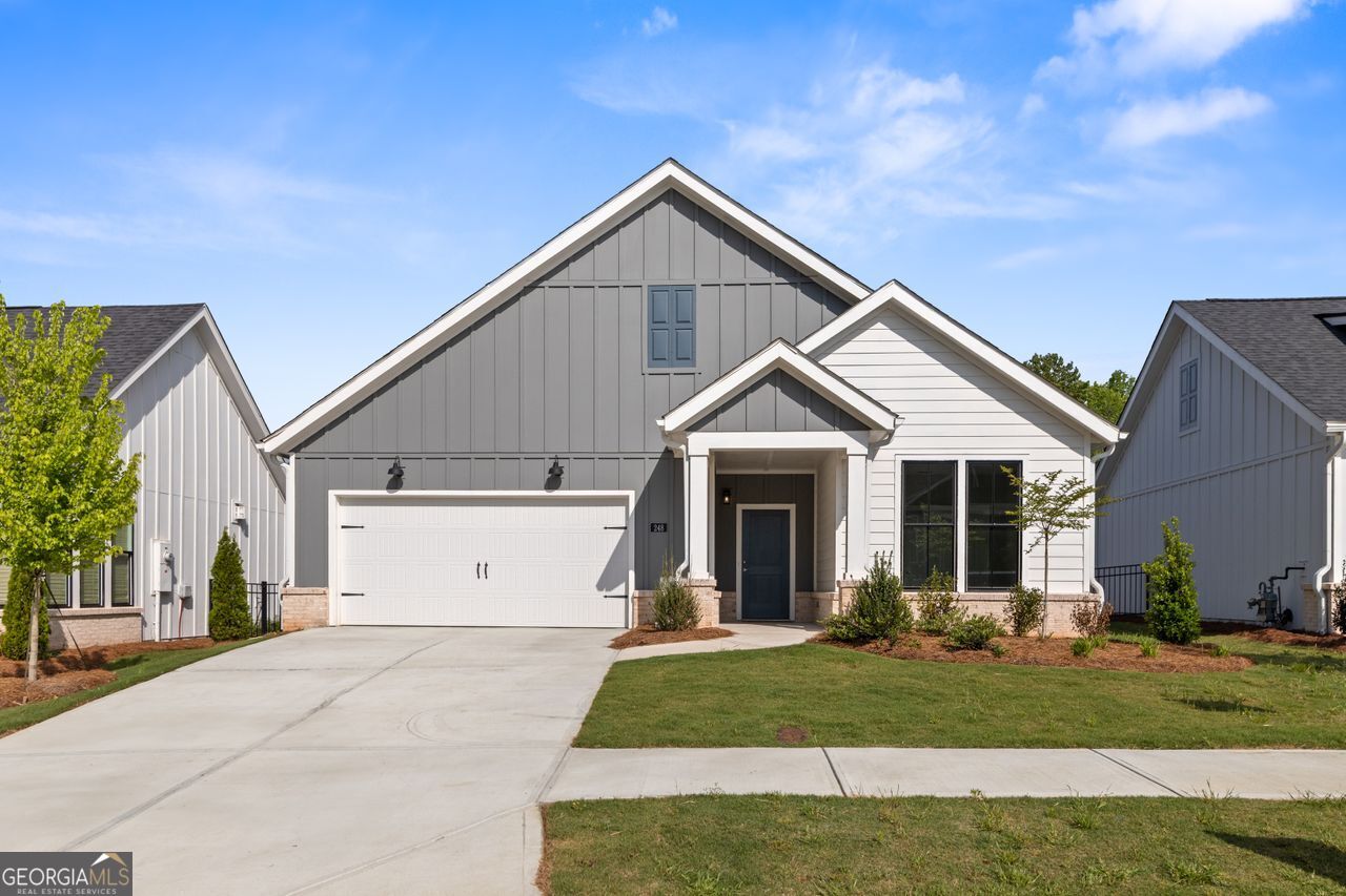 248 Persimmon