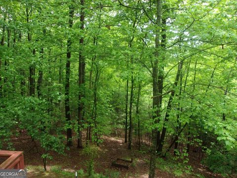 A home in Ellijay