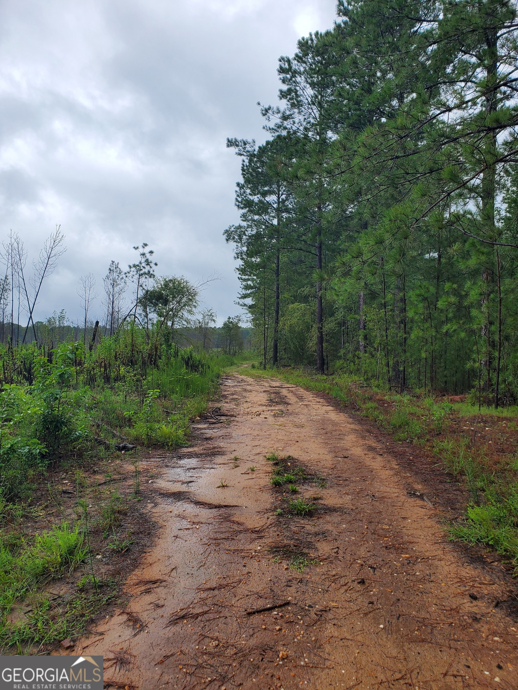 2 Smith Rocky Branch RD