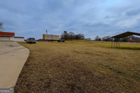 Photo of 160 HWY 320, Carnesville, GA 30521 (MLS # 10686612)