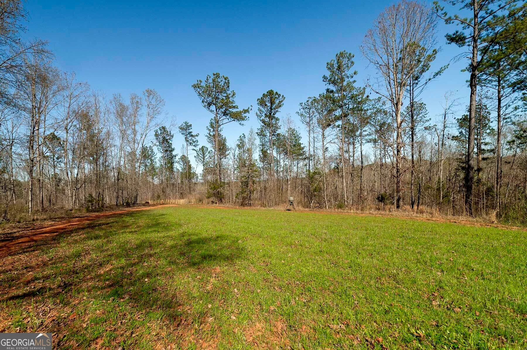 LOT 4 Mayfield Road, Flovilla, GA, 30216