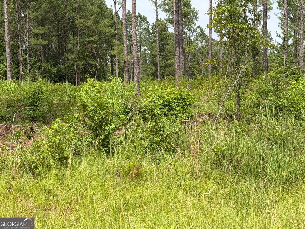 Photo of 7 Old Monticello Road, Milledgeville, GA 31061 (MLS # 10811695)