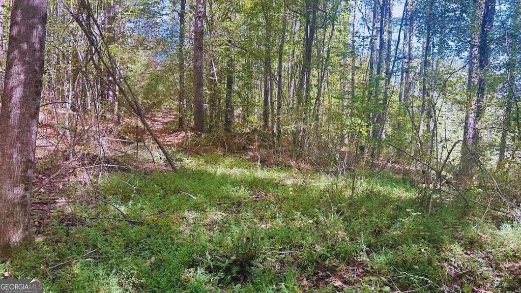 Photo of 0 Williamson Road, Tallapoosa, GA 30176 (MLS # 10674686)