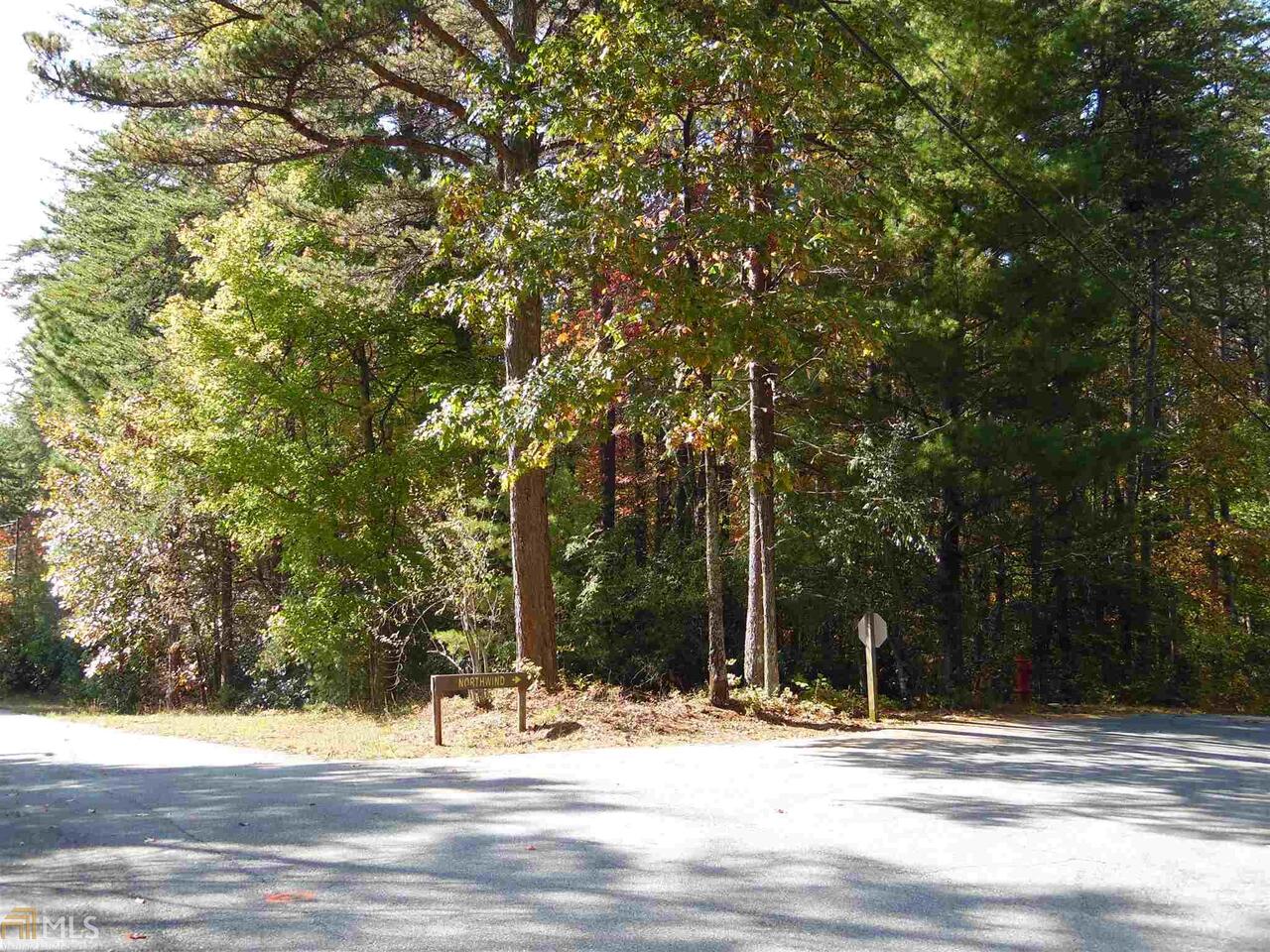 Possible mountain view depending on your choice of homesite. Convenient location with 2 separate roads fronting the lot, providing choice of access and driveway location. Nicely wooded with natural growing mountain laurel. No limit on building time, by now, build now or later. All the Skylake amenities included, Pool, tennis courts, lakes, hiking trails, picnic areas/park. 24 hour manned gate attendant. Bargain price!