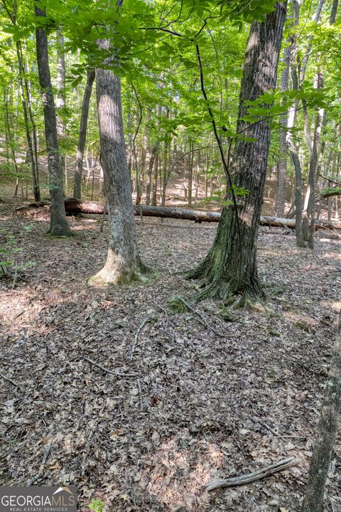 Photo of 90 Cardinal Cove, Big Canoe, GA 30143 (MLS # 10557239)