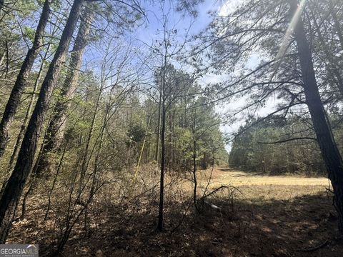 Photo of 15 Hollis Norman Road, Tignall, GA 30668 (MLS # 10717294)