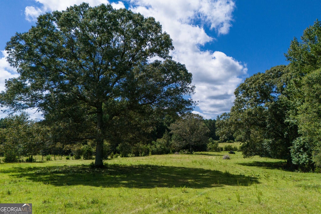 Photo of 0 Hines Road, Hogansville, GA 30230 (MLS # 10836097)