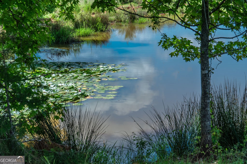 Photo of 0 Hines Road, Hogansville, GA 30230 (MLS # 10836097)