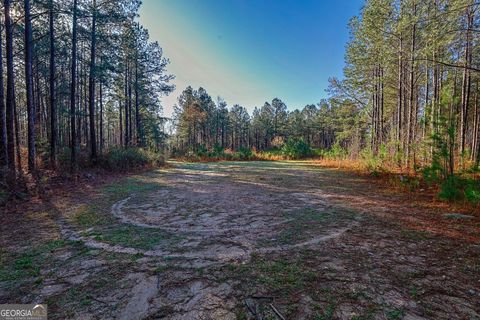 Photo of 0 Highway 22 Highway N, Sparta, GA 31087 (MLS # 10726025)
