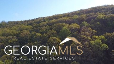 Photo of 172 Trailwood Drive, Ellijay, GA 30540 (MLS # 10431482)