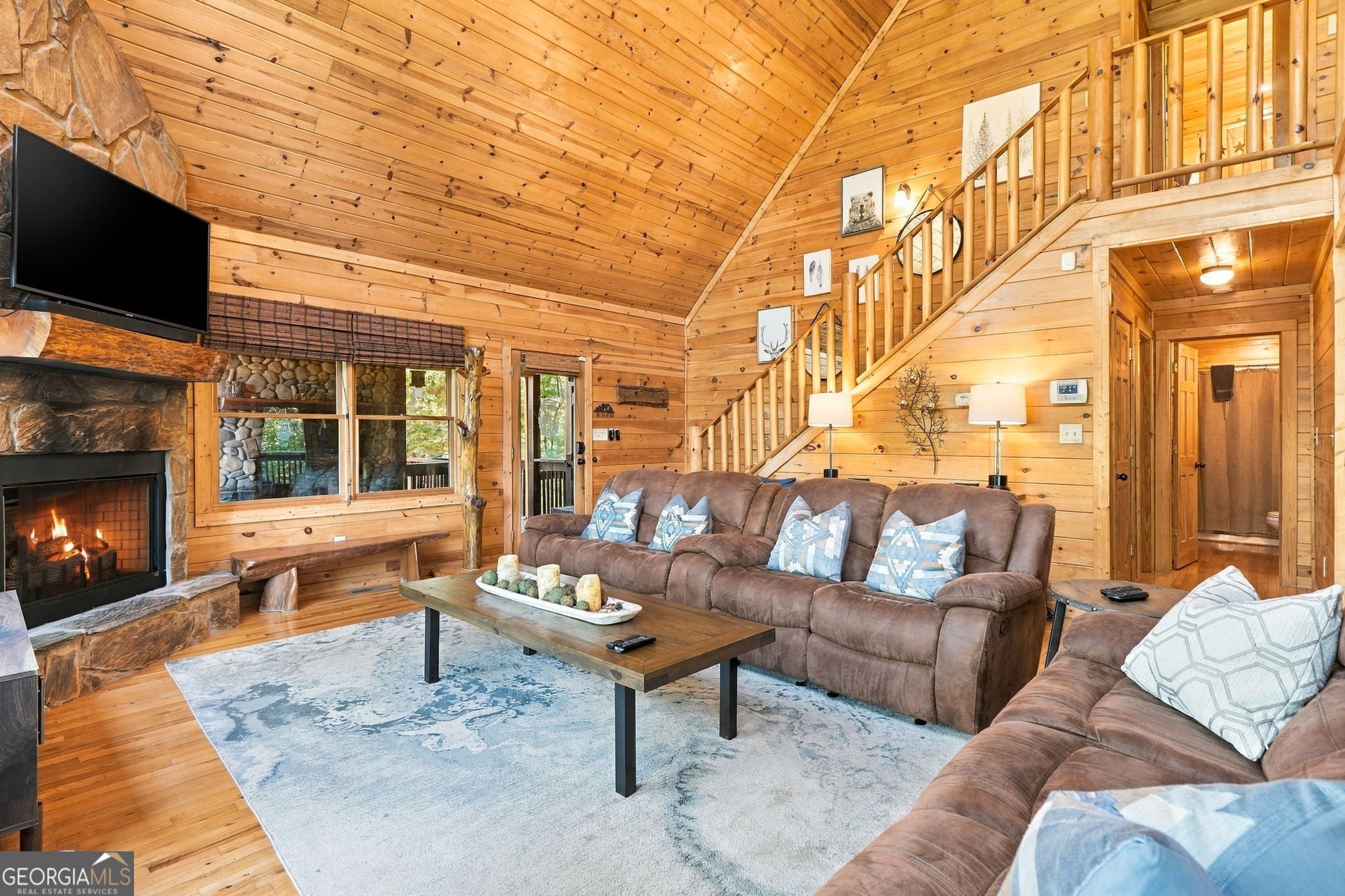 253 Cohutta Overlook TRL