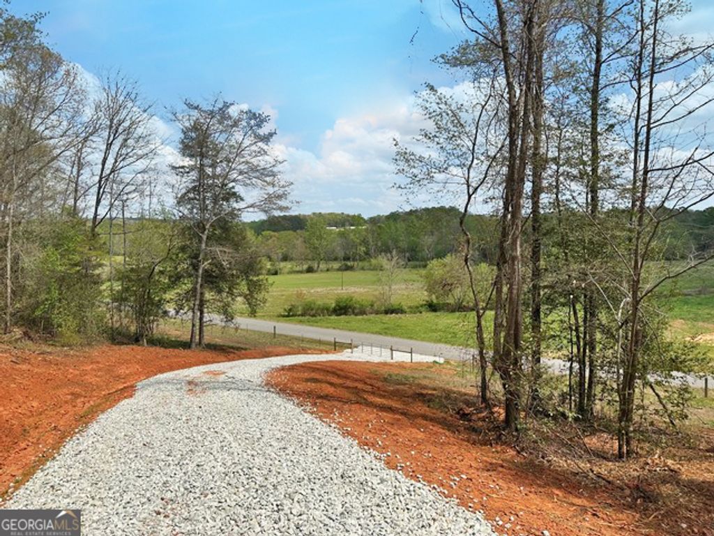 Photo of 0 Broad River Road, Eastanollee, GA 30538 (MLS # 10725282)