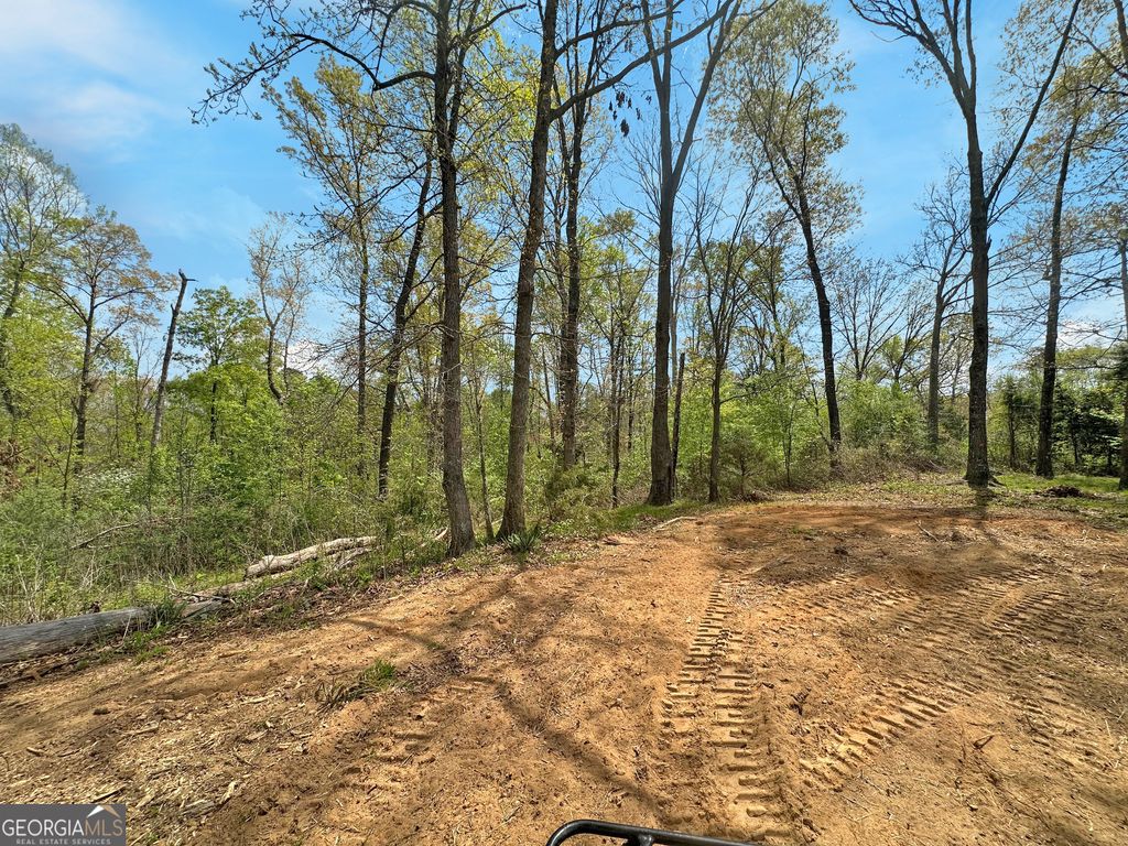 Photo of 0 Broad River Road, Eastanollee, GA 30538 (MLS # 10725282)