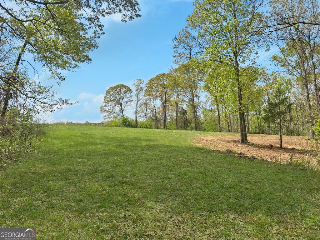 Photo of 0 Broad River Road, Eastanollee, GA 30538 (MLS # 10725282)