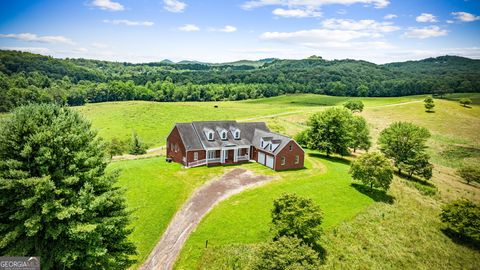 684 Windy Valley Farm RD Blue Ridge GA 30513