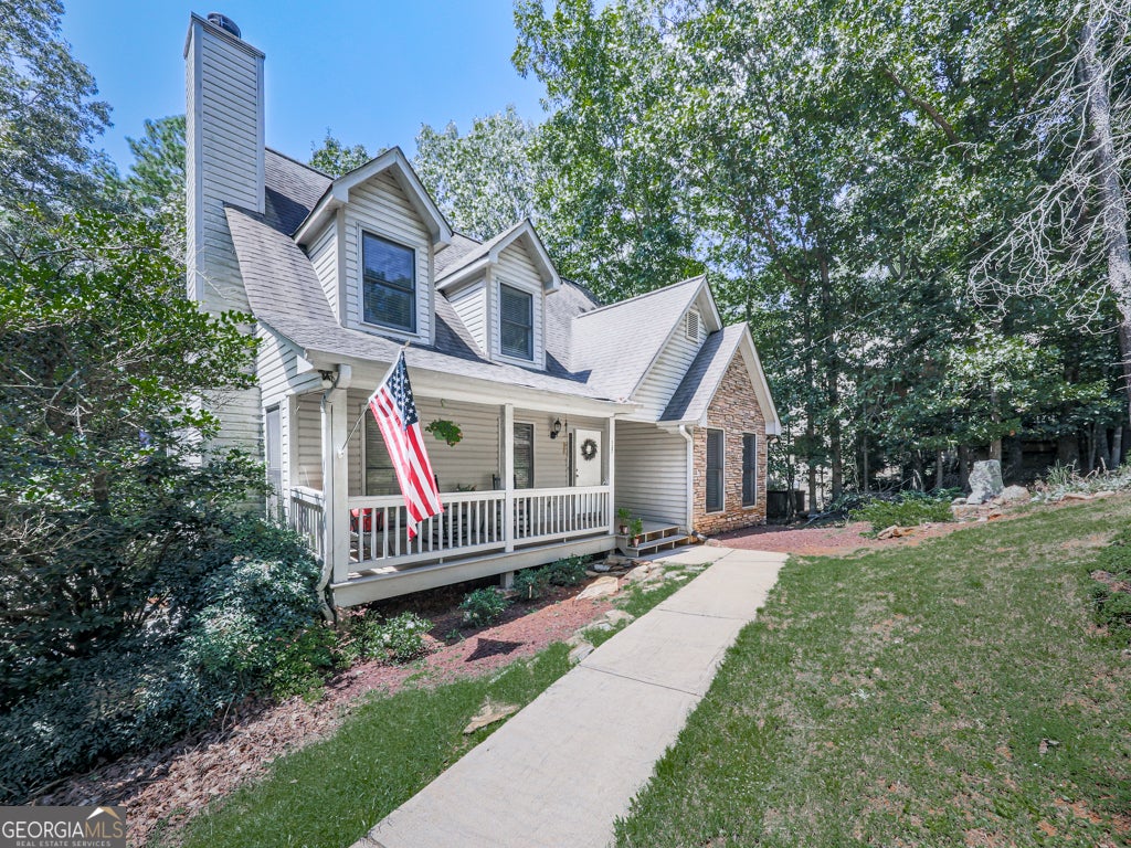 137 Blue Fox LOOP