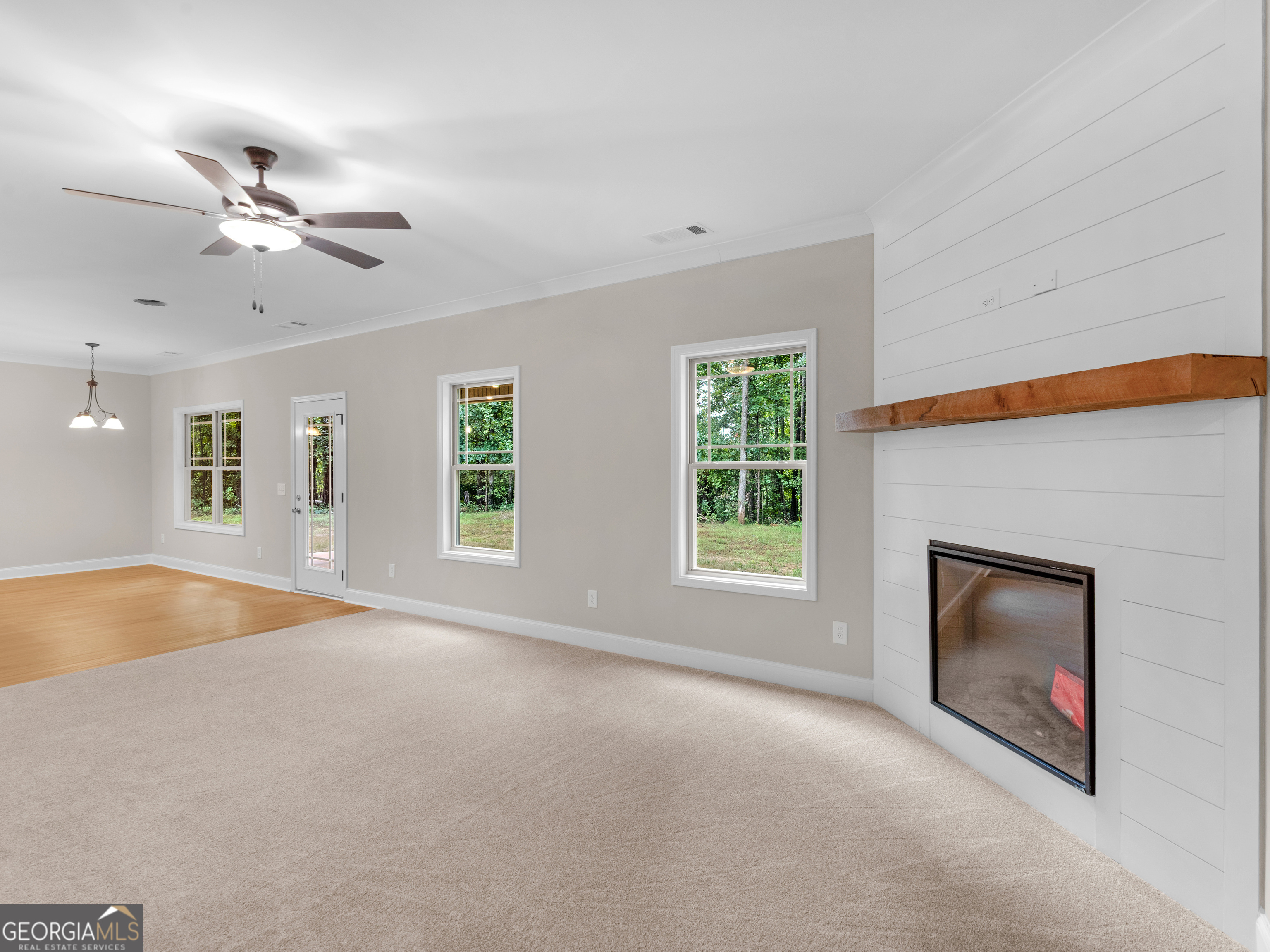 15 Canary CT
