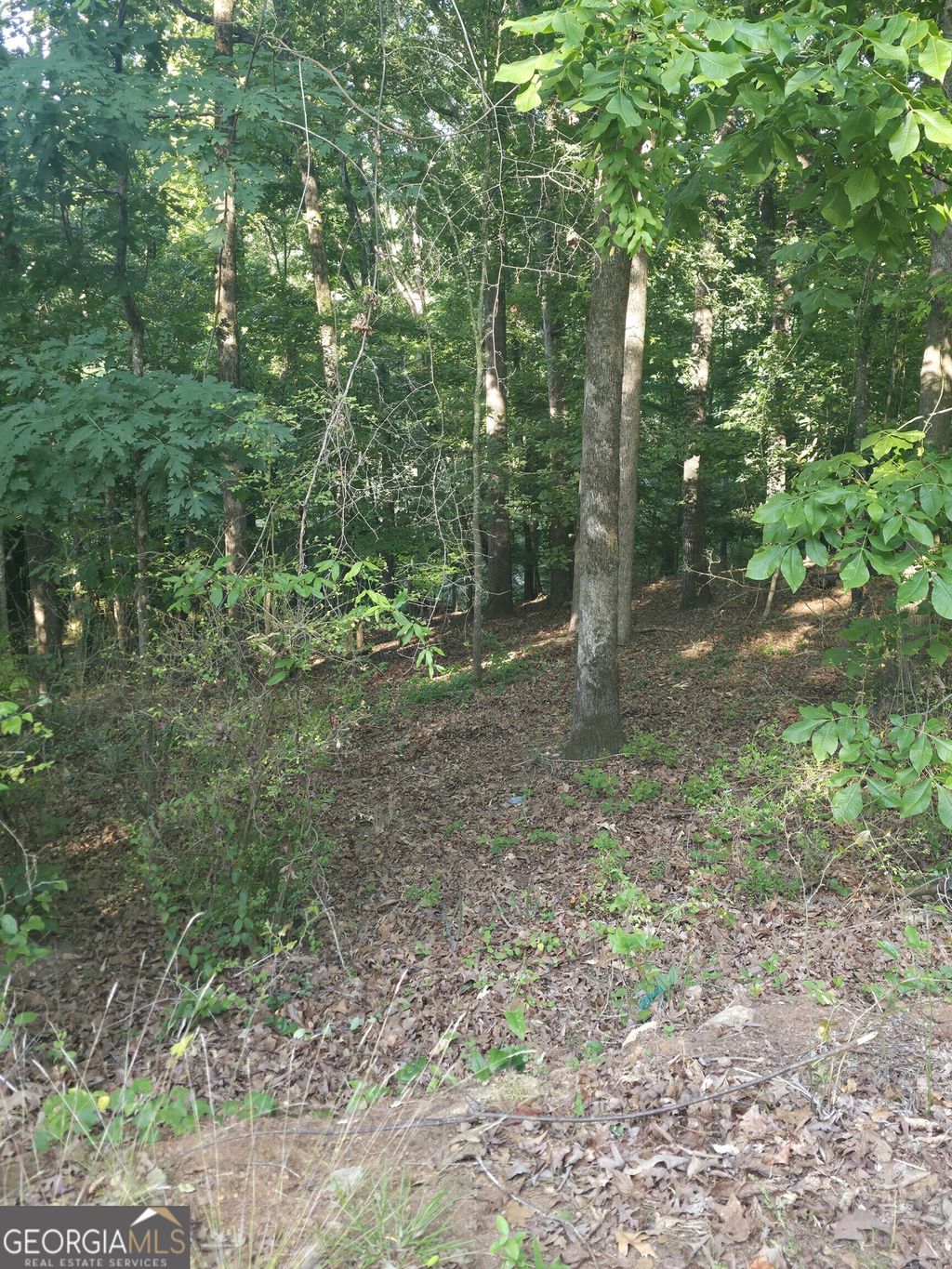 Photo of 330 Caldwell Cir, Athens, GA 30606 (MLS # 10768600)