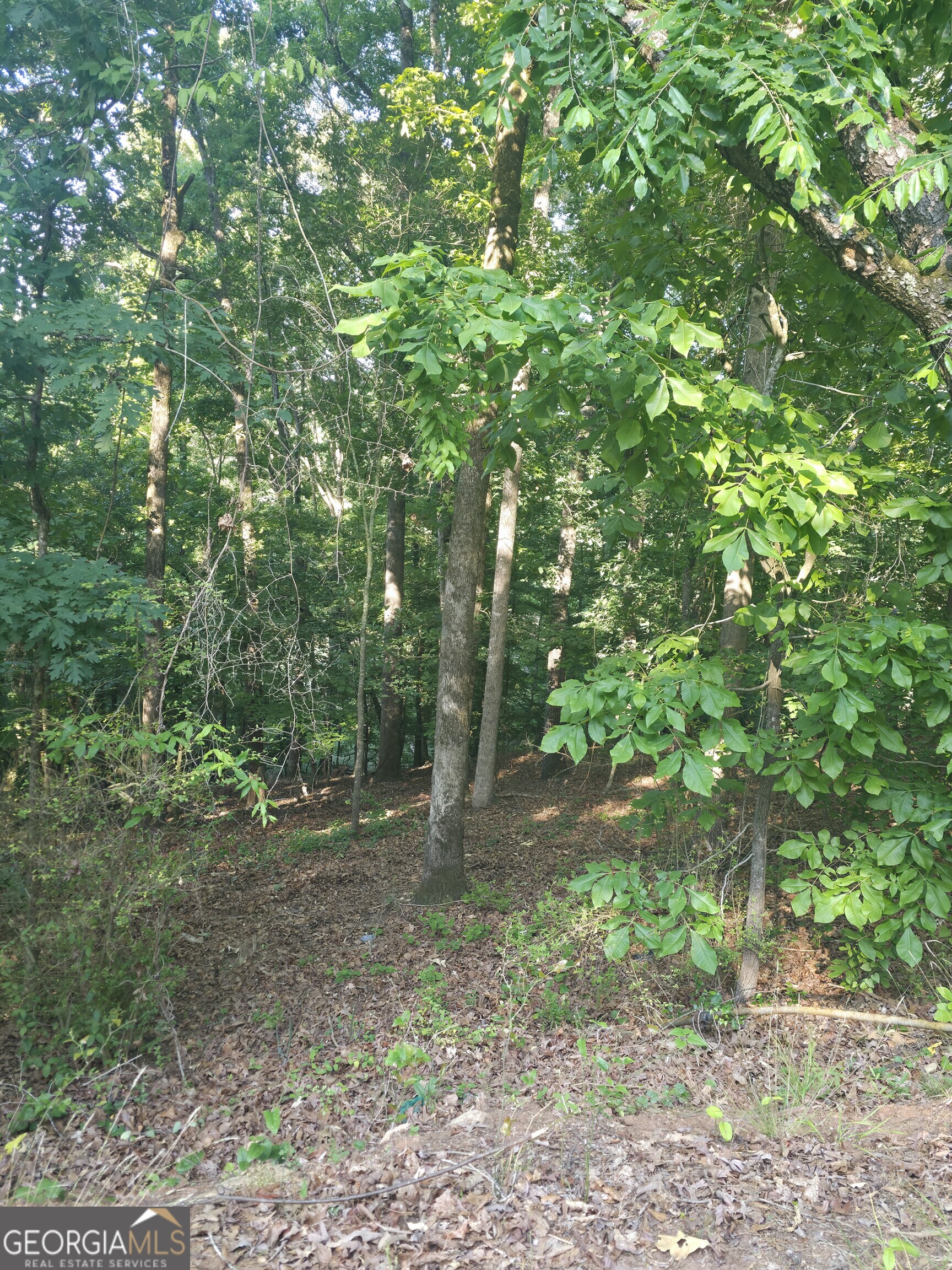 330 Caldwell Circle