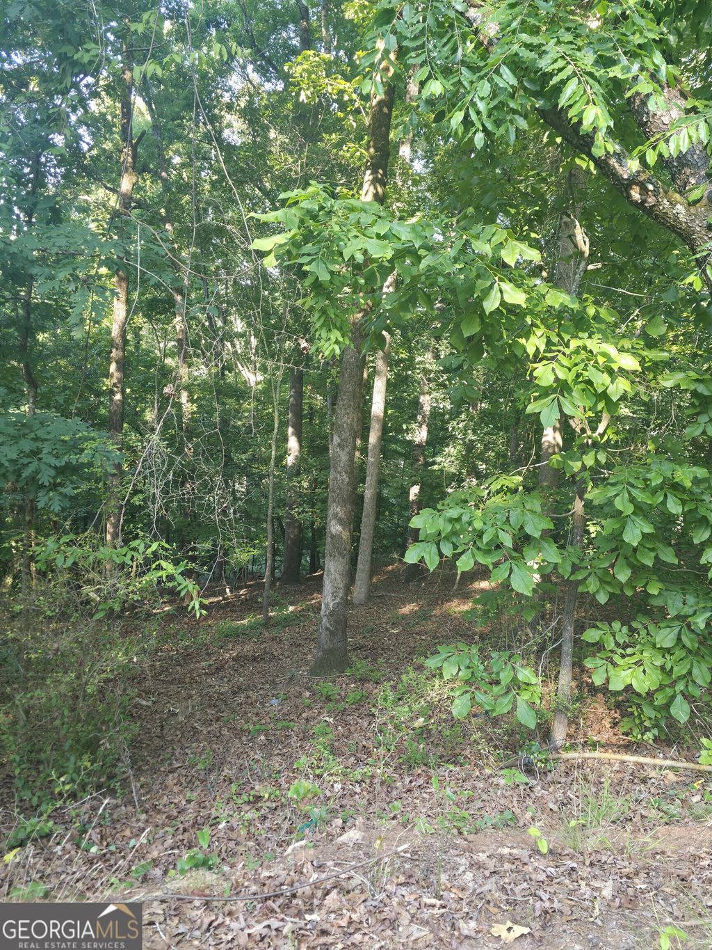 Photo of 330 Caldwell Cir, Athens, GA 30606 (MLS # 10768600)