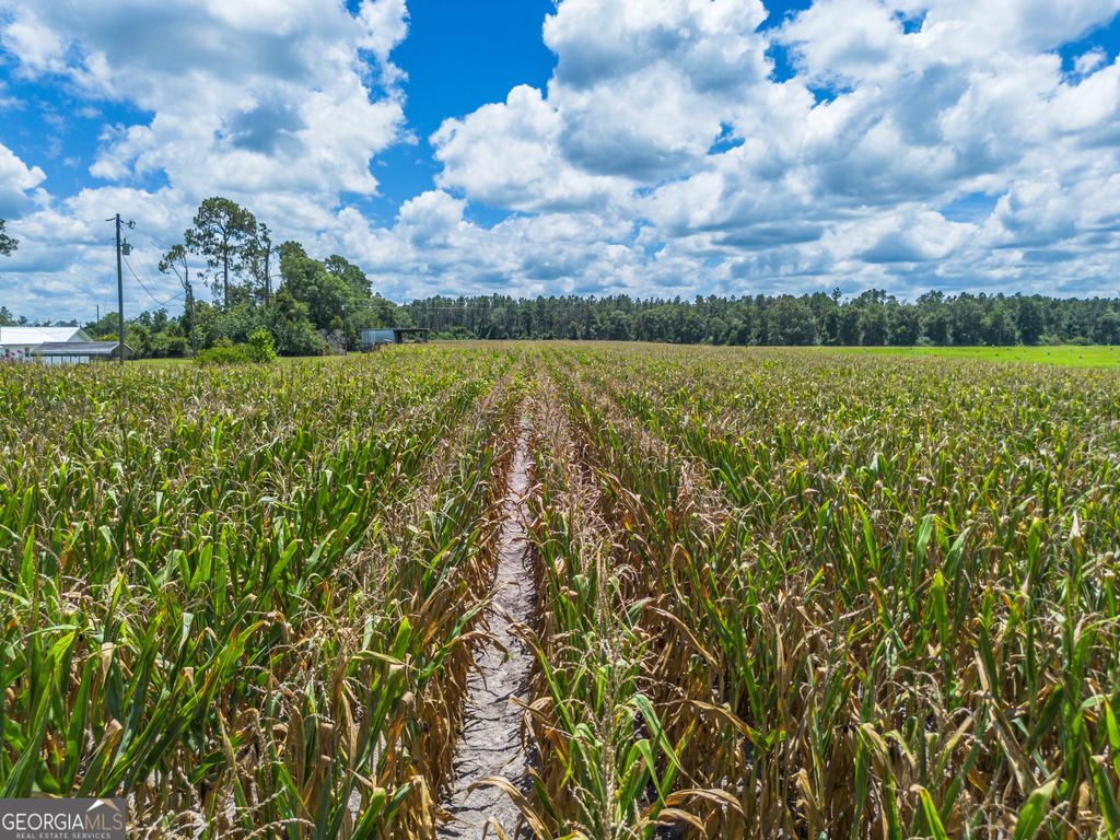 Photo of 0000 Teakwood Road, Alma, GA 31510 (MLS # 10670859)