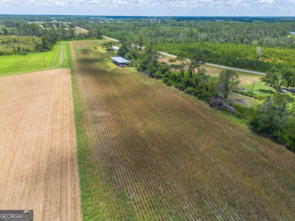 Photo of 0000 Teakwood Road, Alma, GA 31510 (MLS # 10670859)