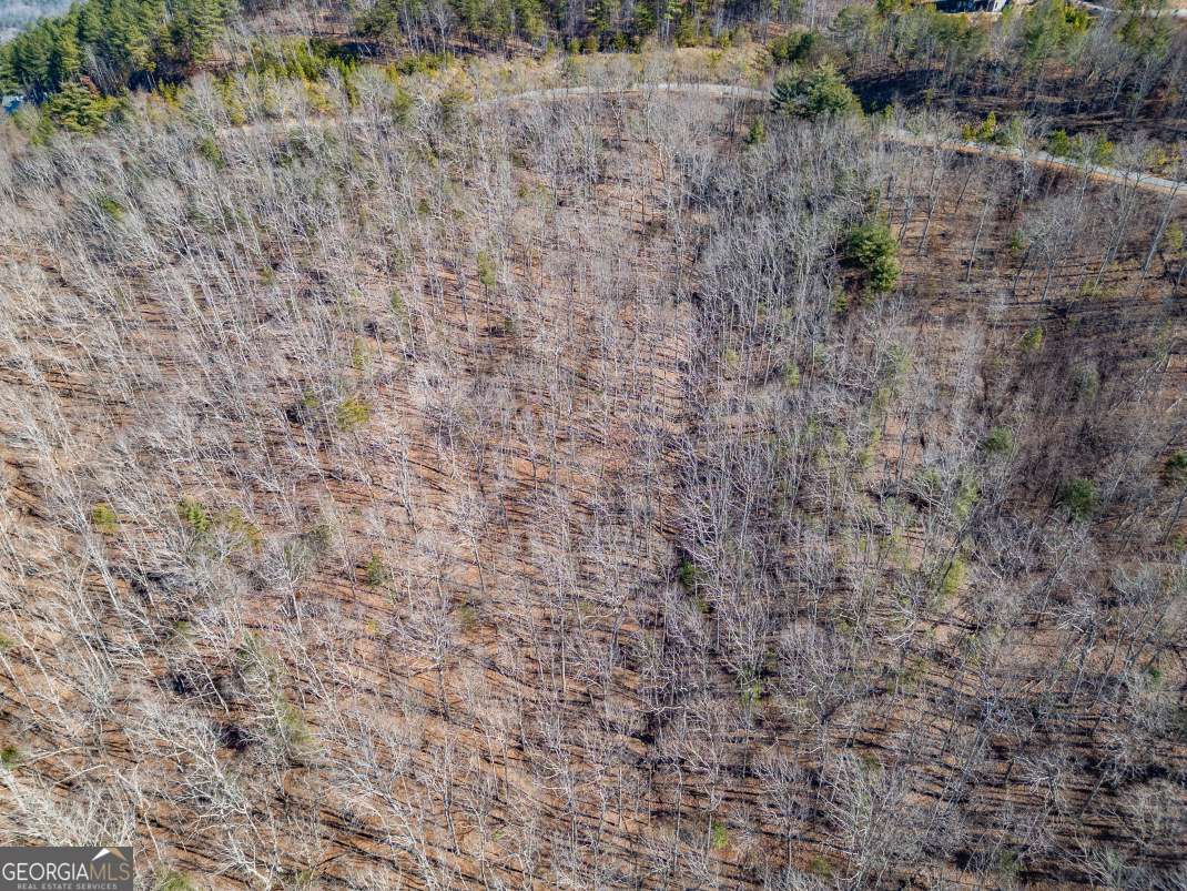 LOT 370 Thirteen Hundred